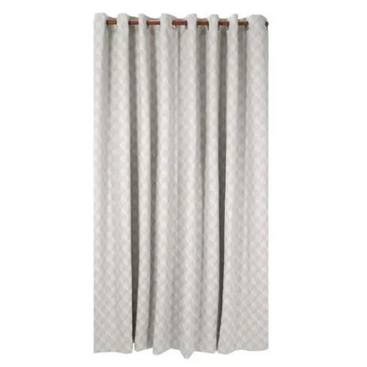 26022025_1266042$Imagec1